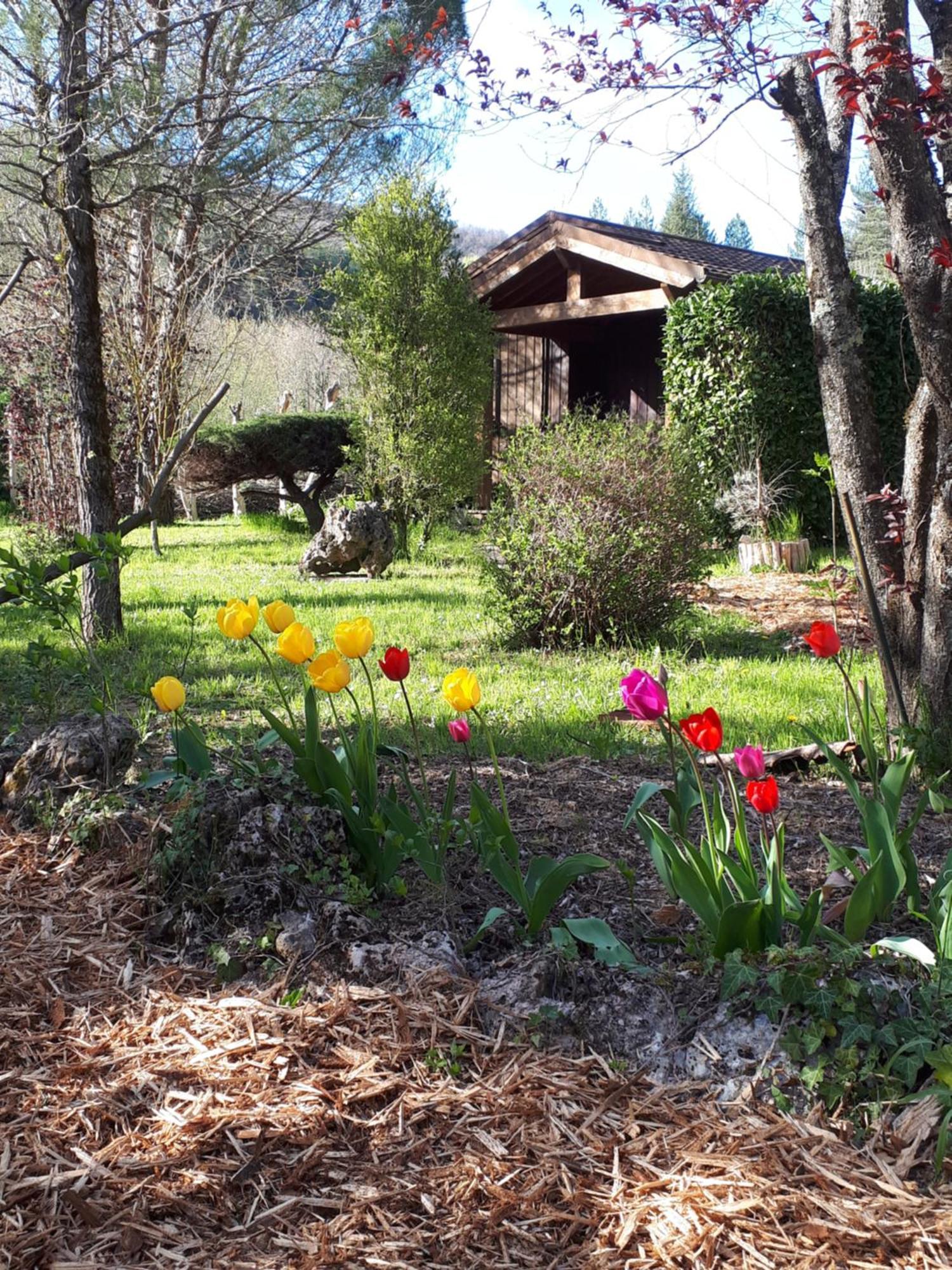 Les Chalets Du Roc Alzon ภายนอก รูปภาพ